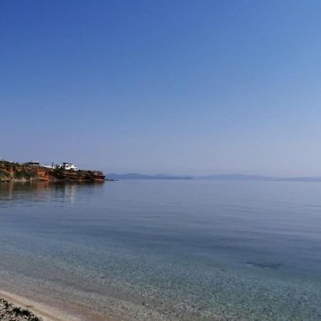 Summer House With A Pool Near Sea, Port & Airport Apartment Rafina  Ngoại thất bức ảnh