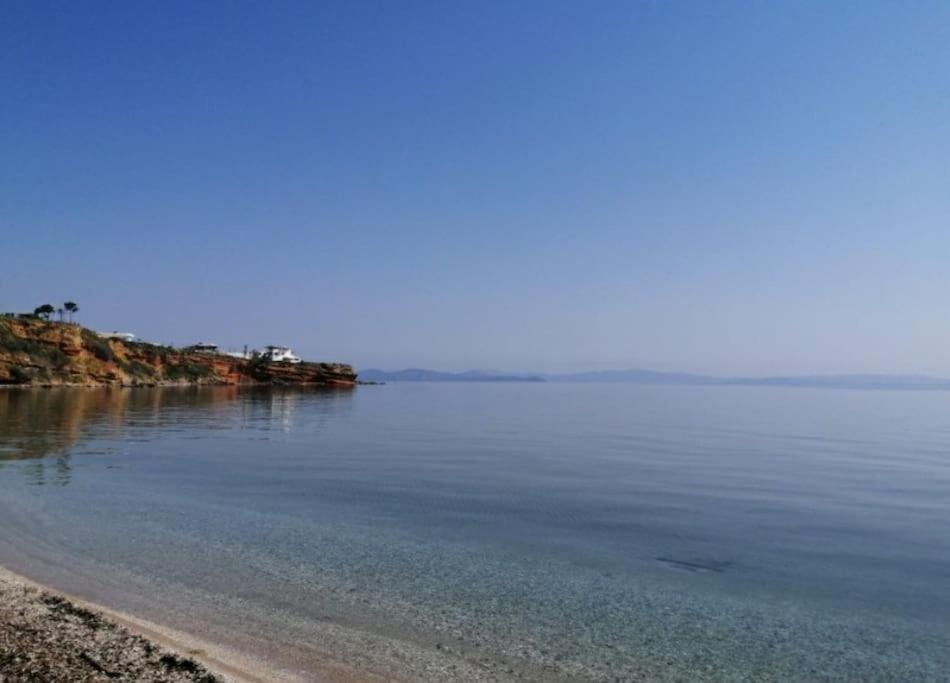 Summer House With A Pool Near Sea, Port & Airport Apartment Rafina  Ngoại thất bức ảnh